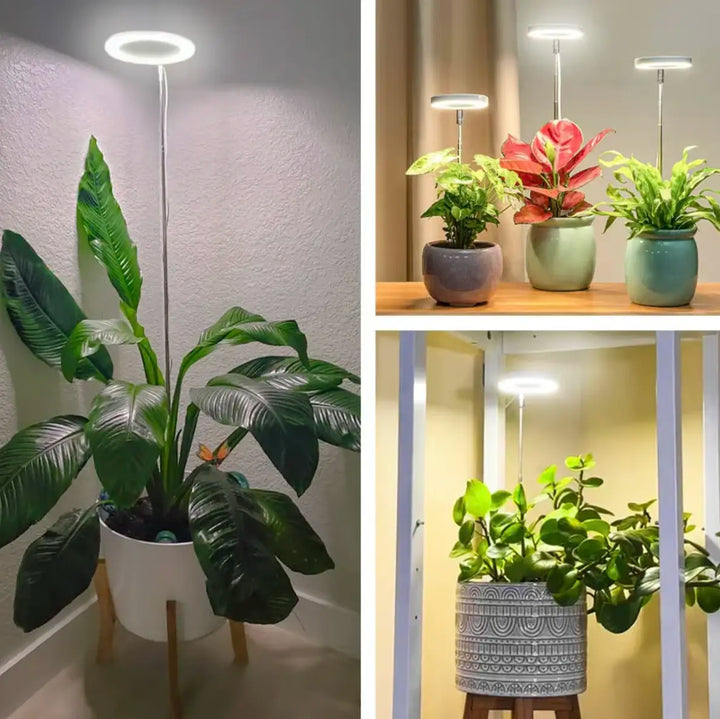 Iliana - Adjustable LED Plant Grow Light